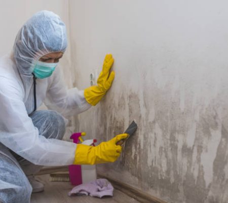 Female worker of cleaning service removes mold from wall using spray bottle with mold remediation chemicals, mold removal products and scraper tool.